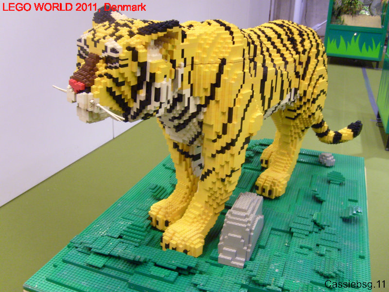 lw2011dk.101.jpg