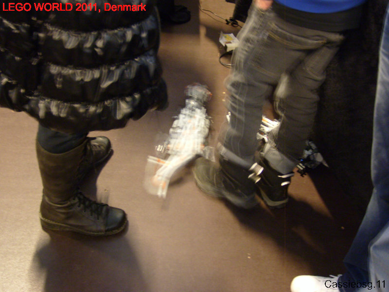 lw2011dk.222.jpg