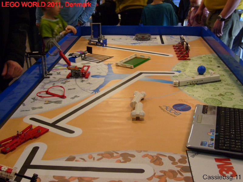 lw2011dk.223.jpg