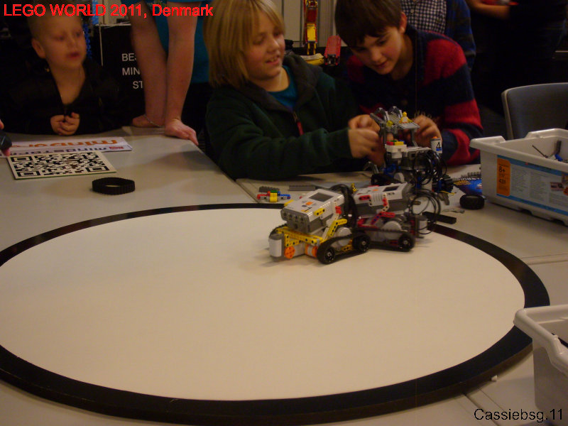 lw2011dk.229.jpg