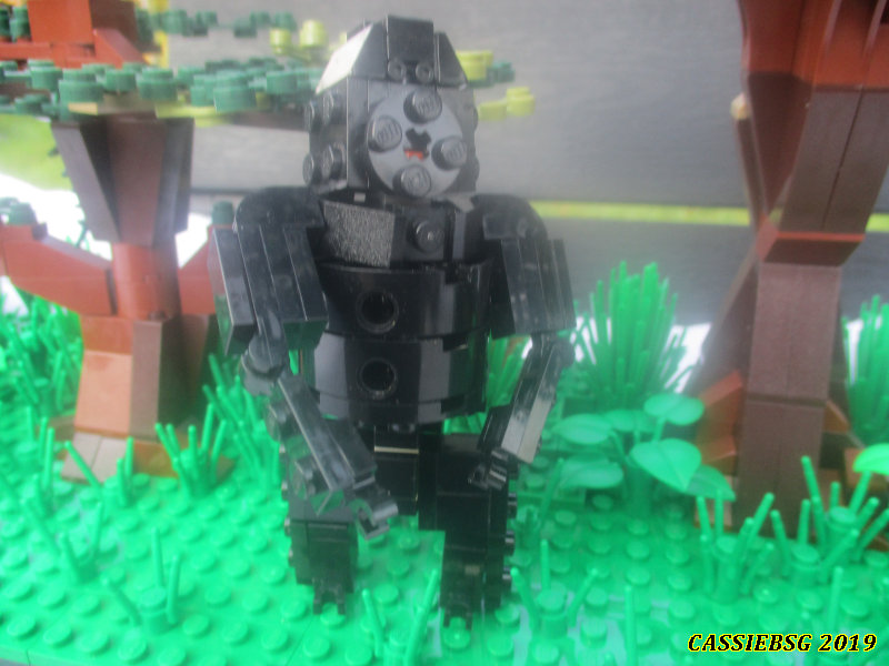 gorilla_14.jpg