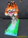 tiger_03.jpg
