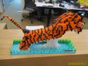 tiger_final01.jpg