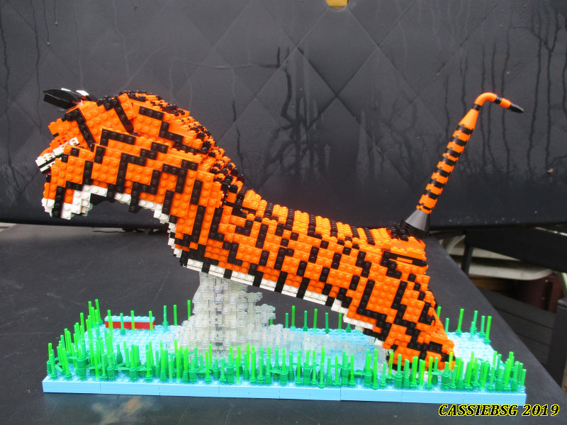 tiger_01.jpg