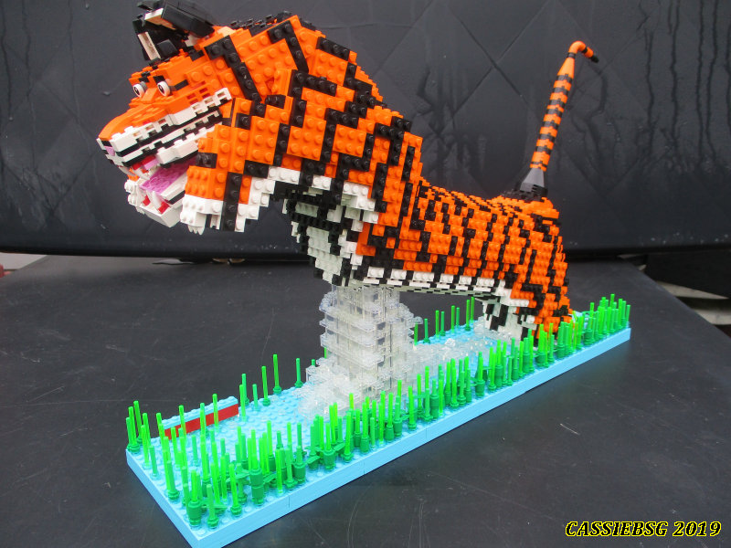 tiger_02.jpg