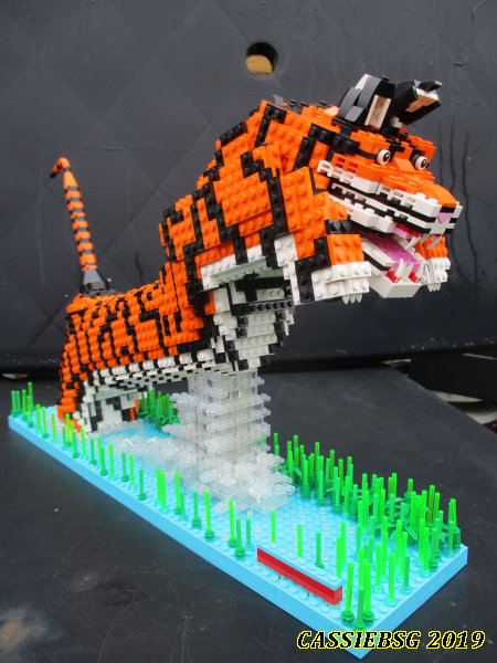 tiger_04.jpg