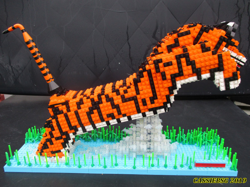 tiger_05.jpg