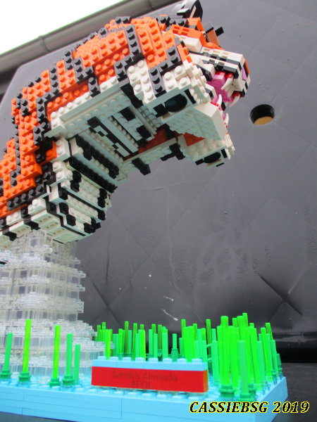 tiger_06.jpg