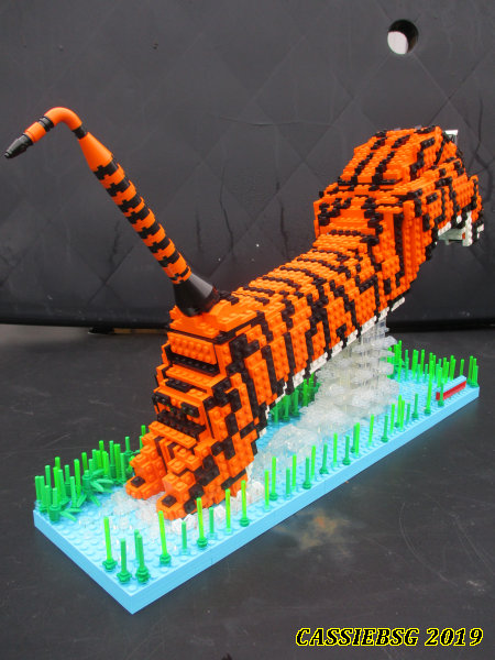 tiger_08.jpg