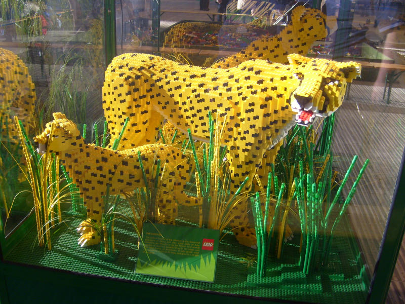 animals01_cheetas.jpg