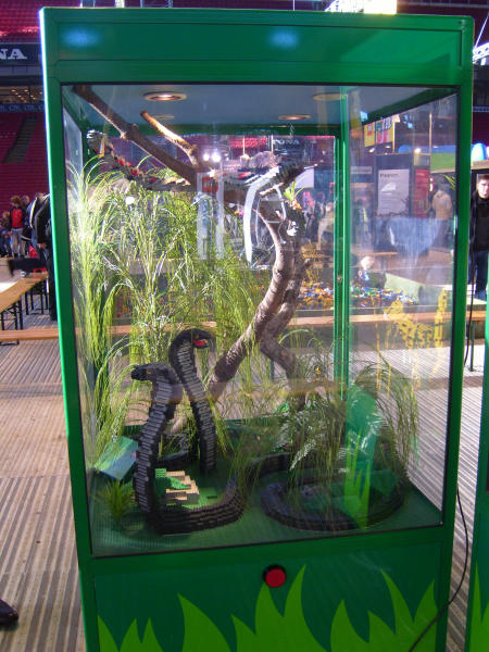 animals02_snakes.jpg