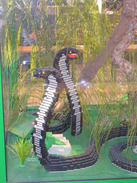 animals03_snakes.jpg