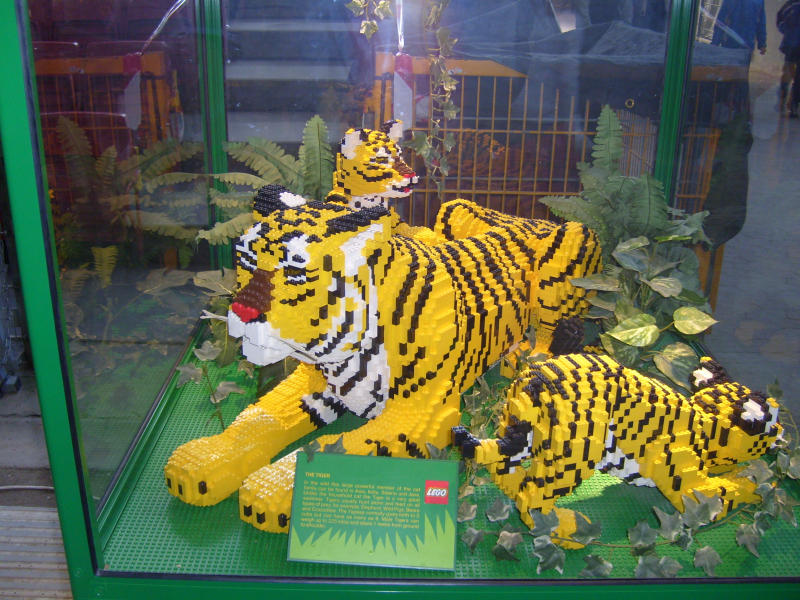 animals04_tigers.jpg