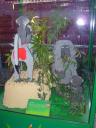 animals05_baboons.jpg
