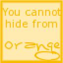 orange_avatar.gif