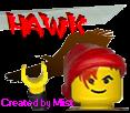 hawk_2.jpg