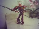 Bioniclefolder1