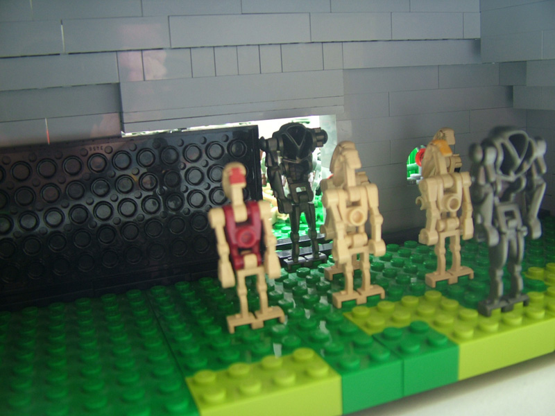 beach8.jpg