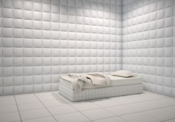 padded-cell.jpg