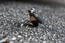 BrickArms4