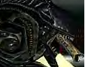 alien.bmp