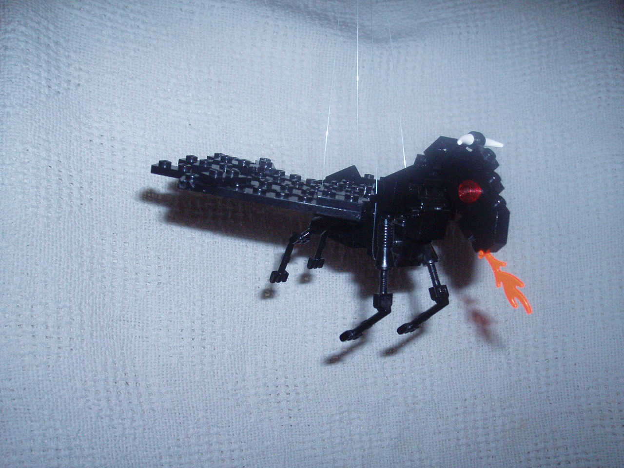 black_pegasus5.jpg