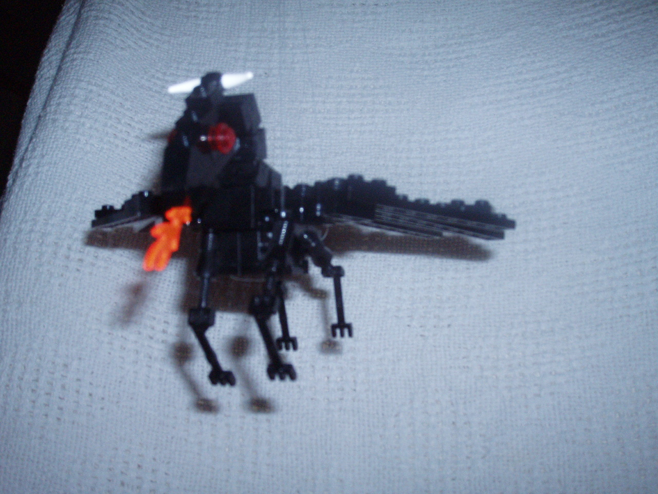 black_pegasus7.jpg
