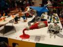 dsc03638.jpg