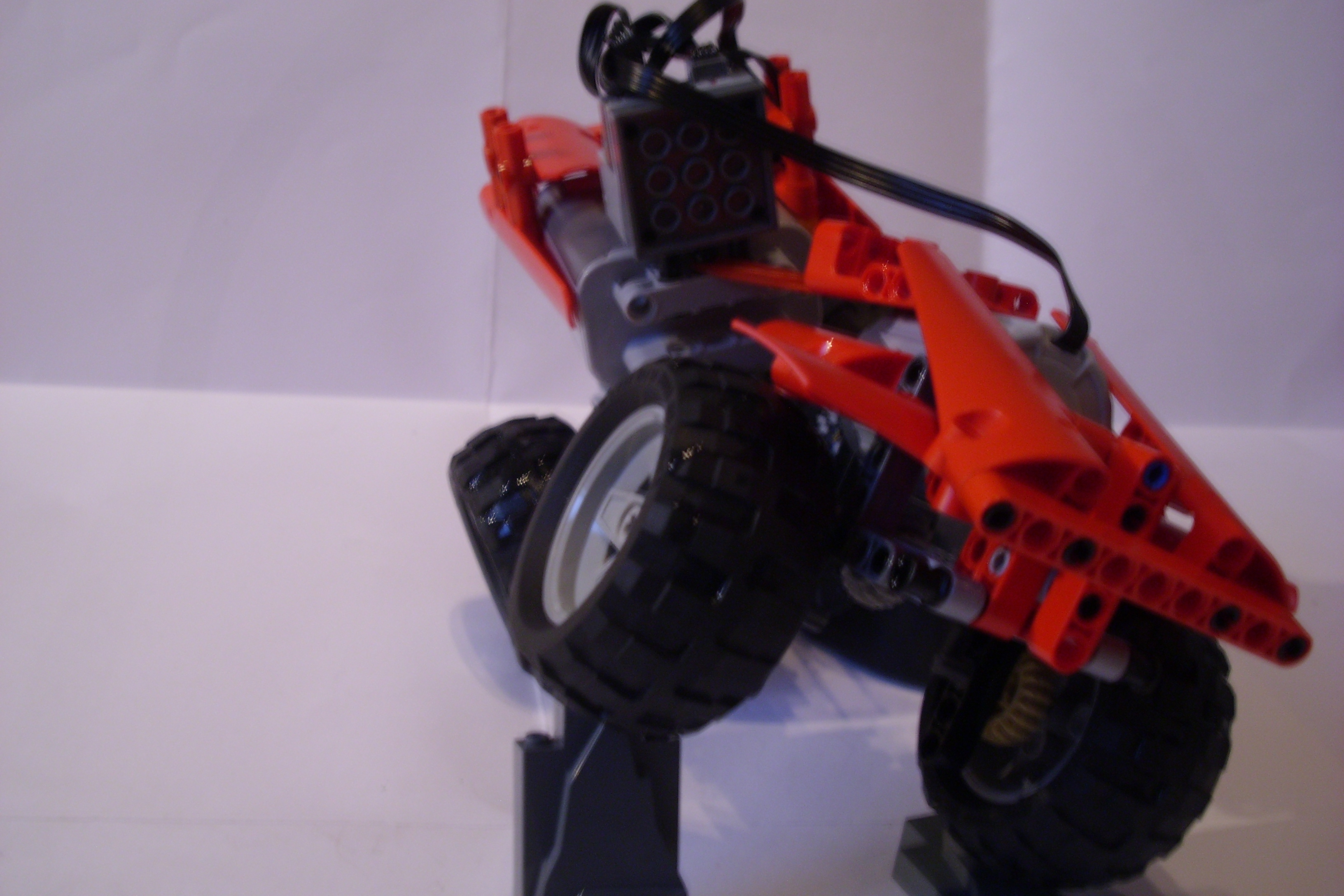 warthog_6.jpg