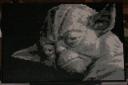1yoda2.jpg