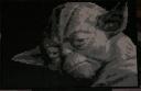 1yoda3.jpg