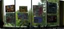 pan_bio2.jpg