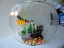 fishbowl-002.jpg