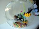 fishbowl-005.jpg