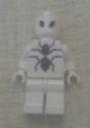 spidey_ff_fig.jpg