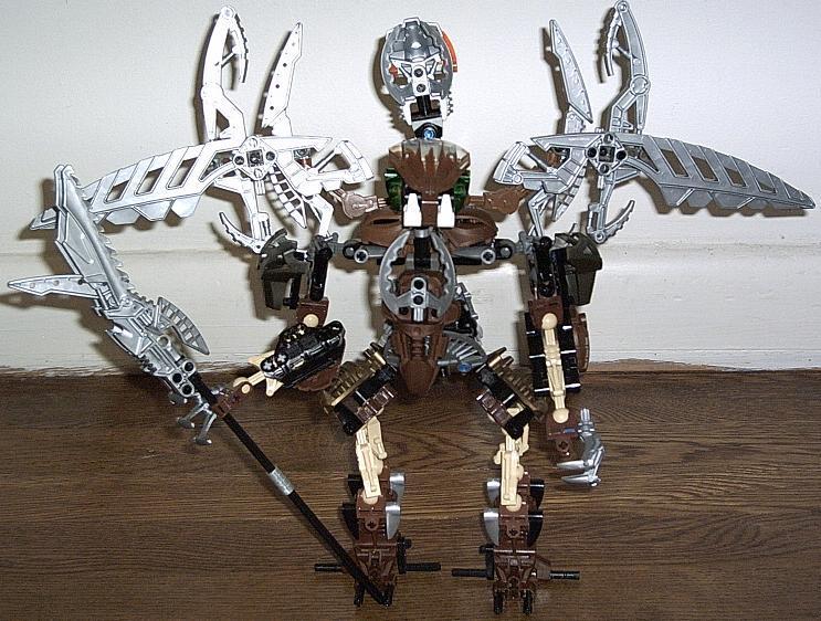 12dh_bird_back.jpg