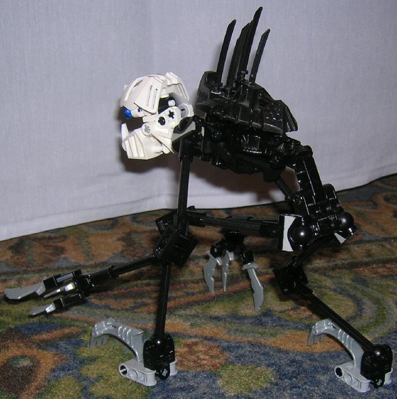 cat9_4.jpeg