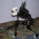 cat9_4.jpeg
