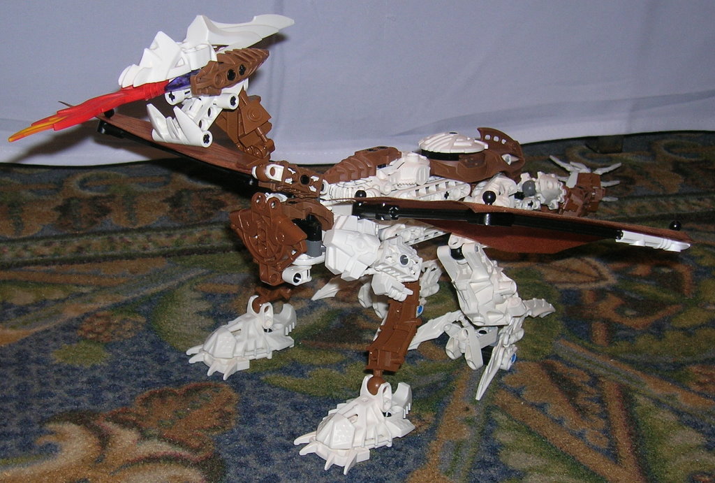 dscn6701.jpg