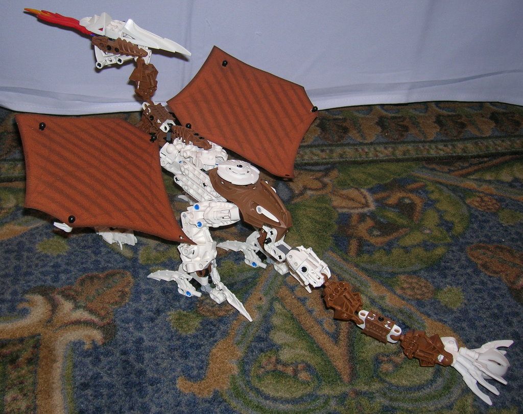 dscn6703.jpg