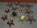 skullspider_fun.jpg