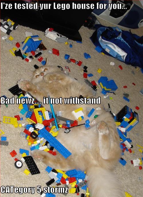 lolcat_lego_house.jpg