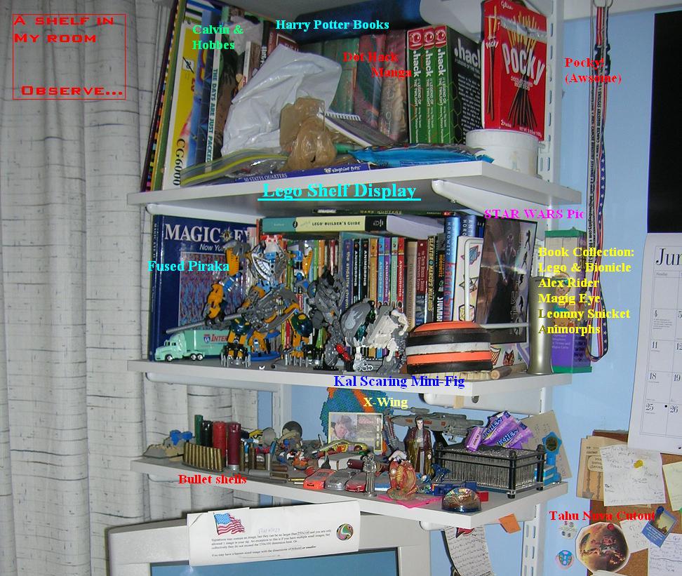 shelf2.jpg