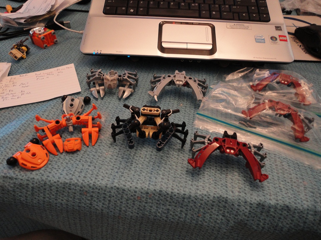 missing_crabs.jpg