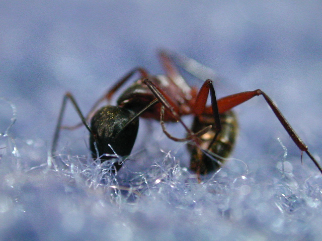 dscn1020.jpg