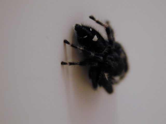 dscn1026.jpg
