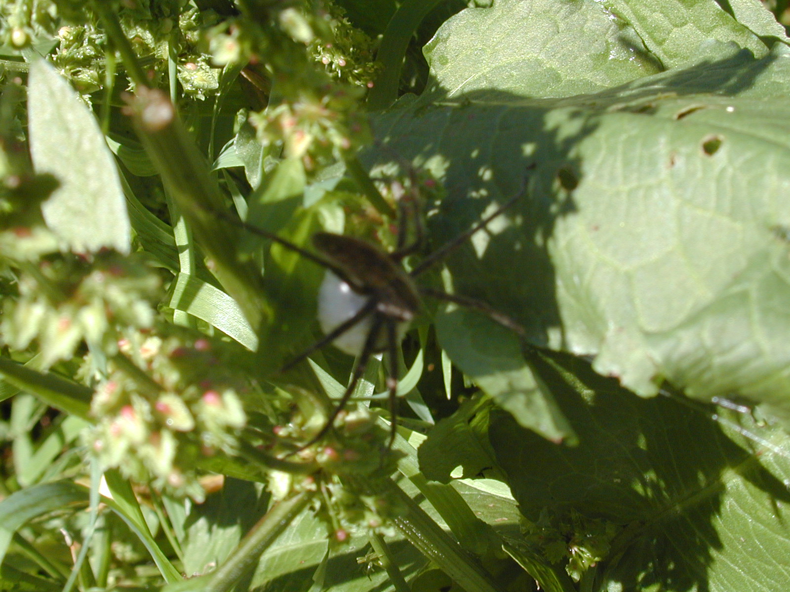 dscn1279.jpg