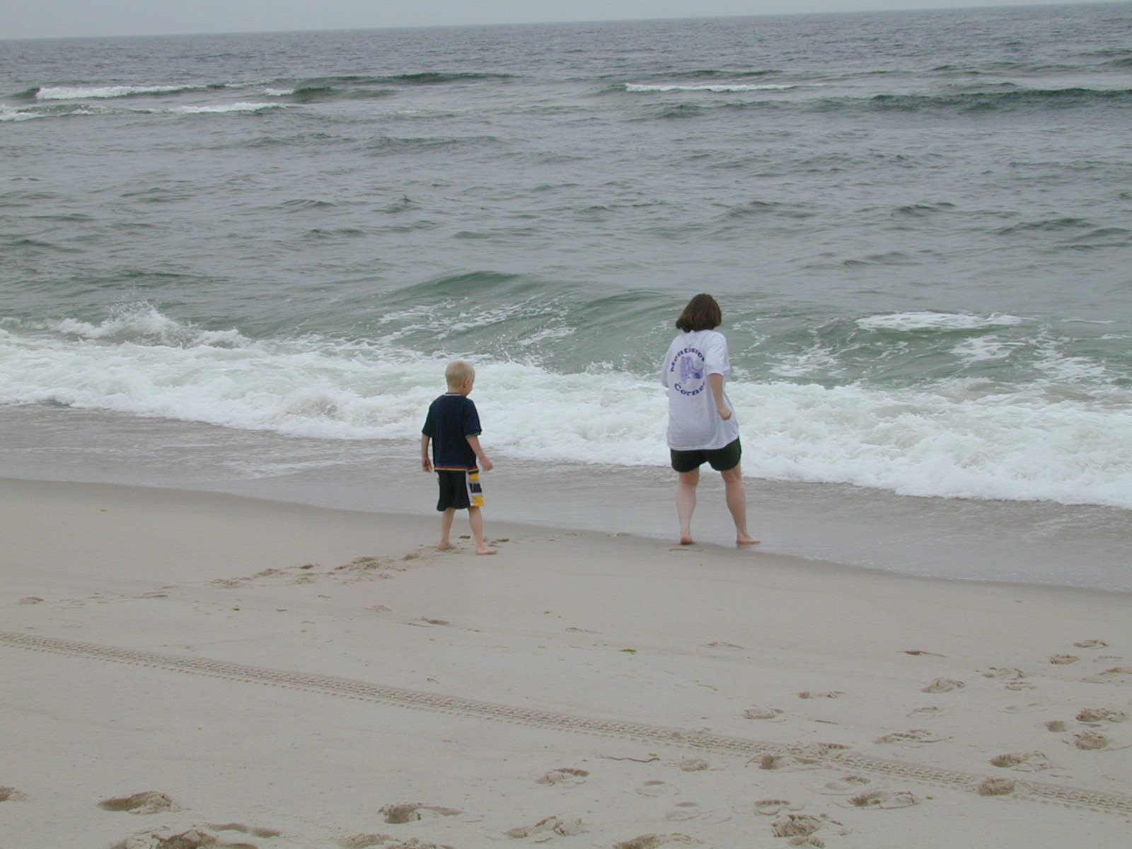dscn1282.jpg