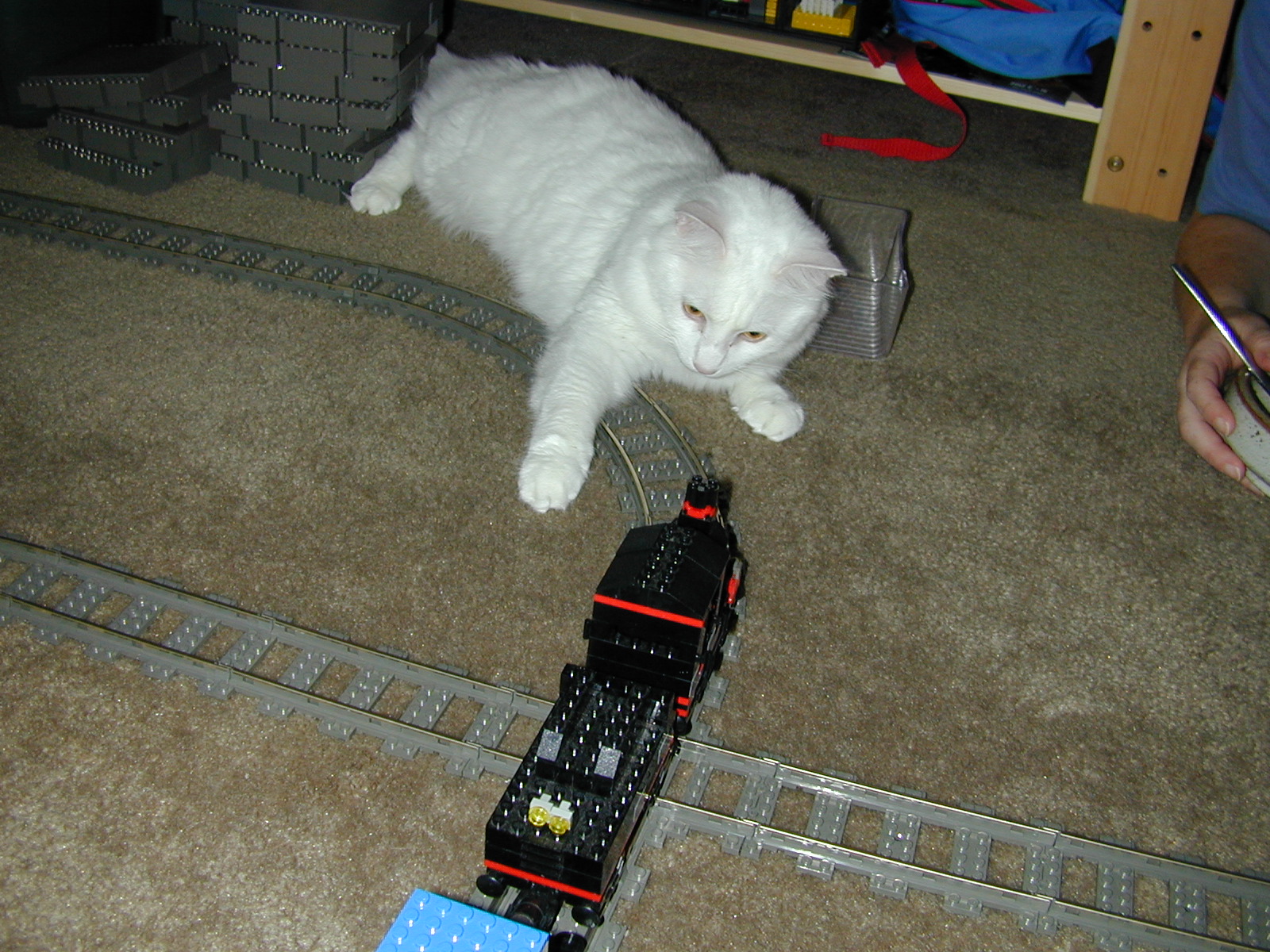 dscn1297.jpg