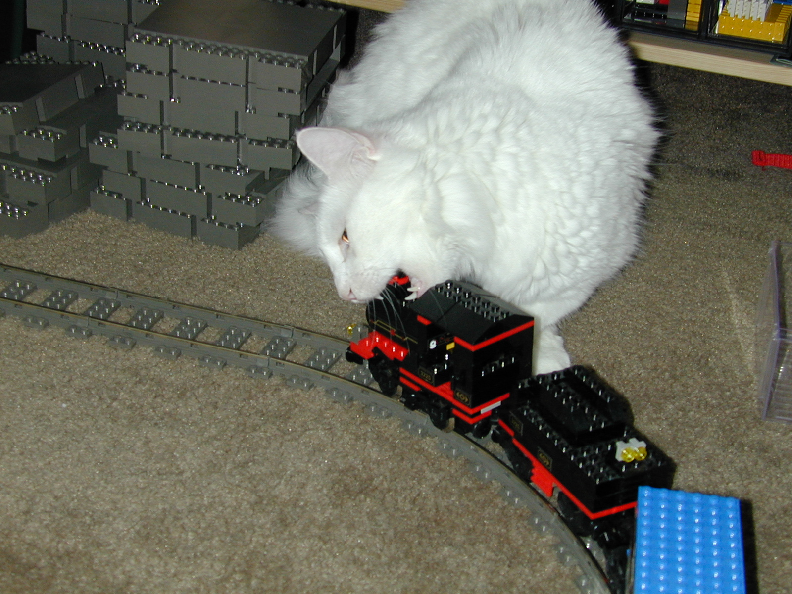 dscn1298.jpg
